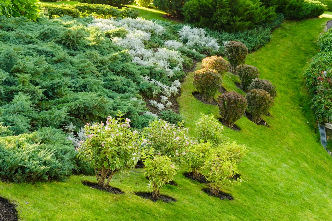 Gepflegter Hanggarten mit verschiedenen Pflanzen